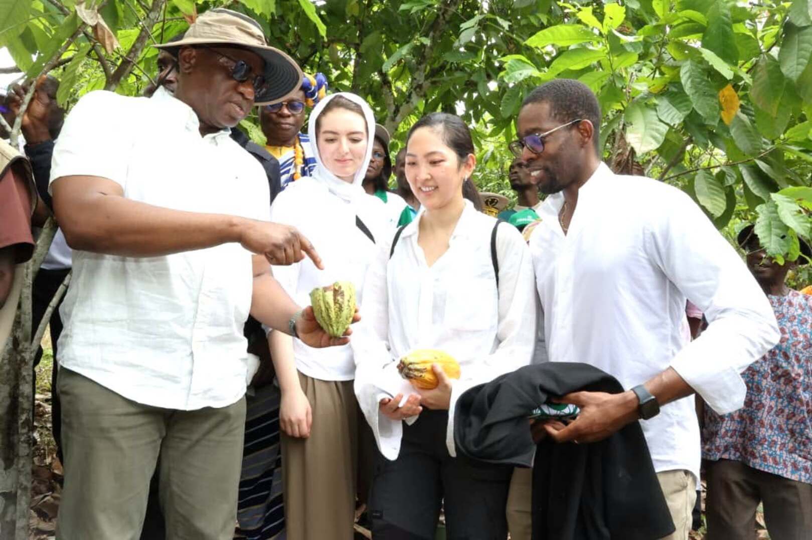Côte d’Ivoire secures US$50 million from the Green Climate Fund for climate-smart agriculture